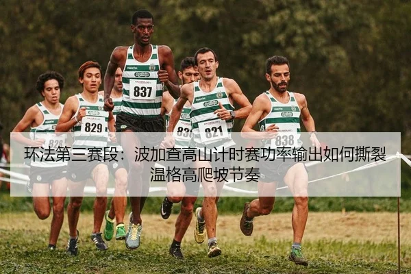 环法第三赛段：波加查高山计时赛功率输出如何撕裂温格高爬坡节奏